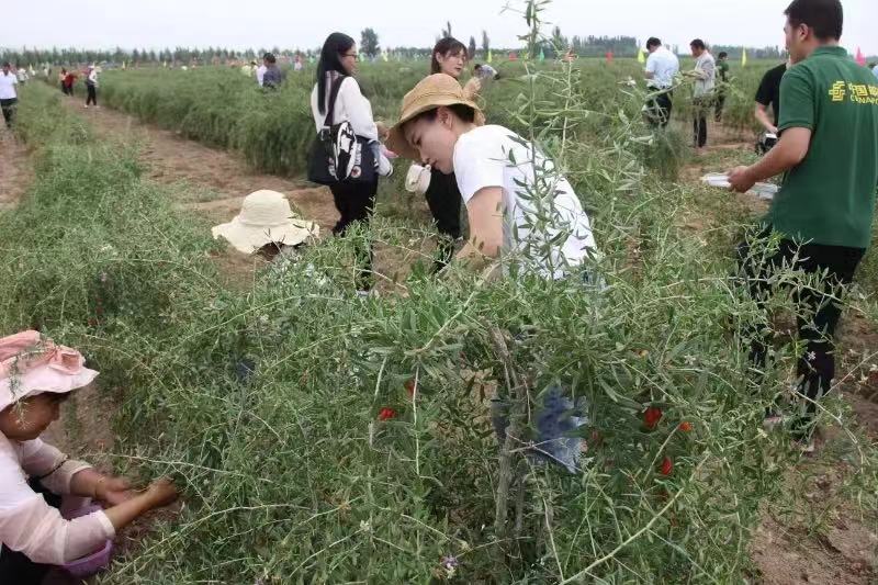 QQ图片20240612104851.jpg QQ图片20240612104851.jpg